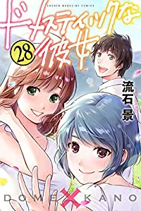 ドメスティックな彼女【全28巻完結セット】 流石景