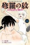 陸奥圓明流異界伝修羅の紋(1-12巻セット・以下続巻)川原正敏【1週間以内発送】