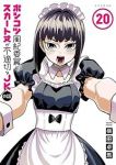 【予約商品】ポンコツ風紀委員とスカート丈が不適切なJKの話(1-20巻セット)