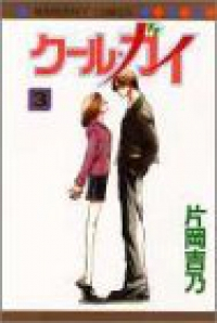 クール・ガイ【全3巻完結セット】 片岡吉乃