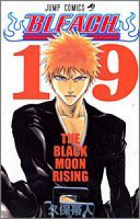 BLEACH-ブリーチ- (19) 久保帯人