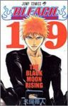 BLEACH-ブリーチ- (19) 久保帯人