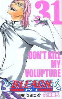 BLEACH-ブリーチ- (31) 久保帯人