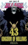 BLEACH-ブリーチ- (43) 久保帯人
