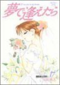 夢で逢えたら　全巻(1-17巻セット・完結)山花典之【1週間以内発送】