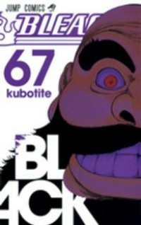 BLEACH-ブリーチ- (67) 久保帯人