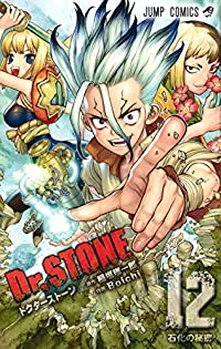 Dr.STONE (12) Boichi