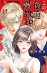 【予約商品】この極道調教中につき(1-11巻セット)