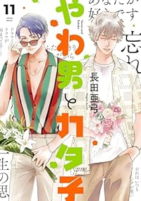 【予約商品】やわ男とカタ子(1-11巻セット)