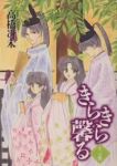 きらきら馨る　全巻(1-12巻セット・完結)高橋冴未【1週間以内発送】