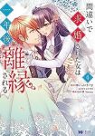 間違いで求婚された女は一年後離縁される　全巻(1-4巻セット・完結)ほいっぷくりーむ【1週間以内発送】