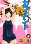 ガブメント (4) 林崎文博