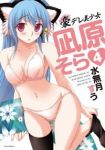 豪デレ美少女 凪原そら(1-4巻セット・以下続巻)水無月すう【1週間以内発送】