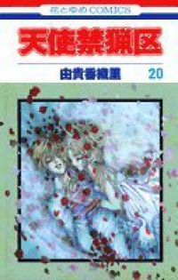 天使禁猟区【全20巻完結セット】 由貴香織里