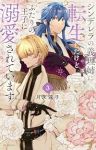 シンデレラの義理姉に転生したけどふたりの王子に溺愛されています【1-3巻セット】 月永遠子