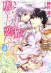 さらわれ姫は鷹の王に恋をする 銀のセレイラ　全巻(1-3巻セット・完結)神月凛【1週間以内発送】