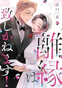 離縁は致しかねます!　全巻(1-8巻セット・完結)山口恵【1週間以内発送】