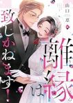 離縁は致しかねます!　全巻(1-8巻セット・完結)山口恵【1週間以内発送】