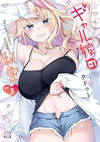 【予約商品】ギャル嫁の秘密(1-3巻セット)