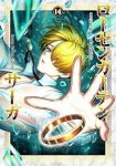 【予約商品】ローゼンガーテン・サーガ(1-14巻セット)